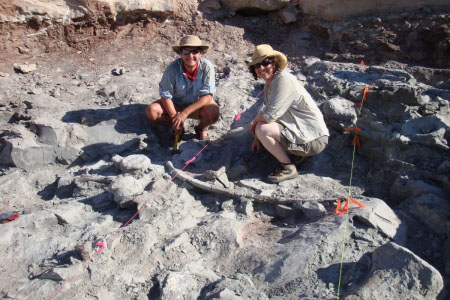 GW graduate students J. Chapman and K. Poole excavating Late Jurassic sauropod bones in SE Utah.