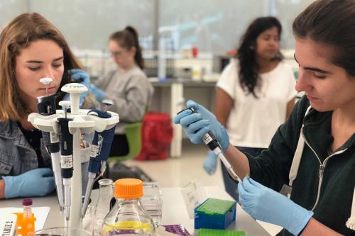 students and professor having a discussion